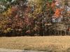 201 Stonebridge Blvd photo